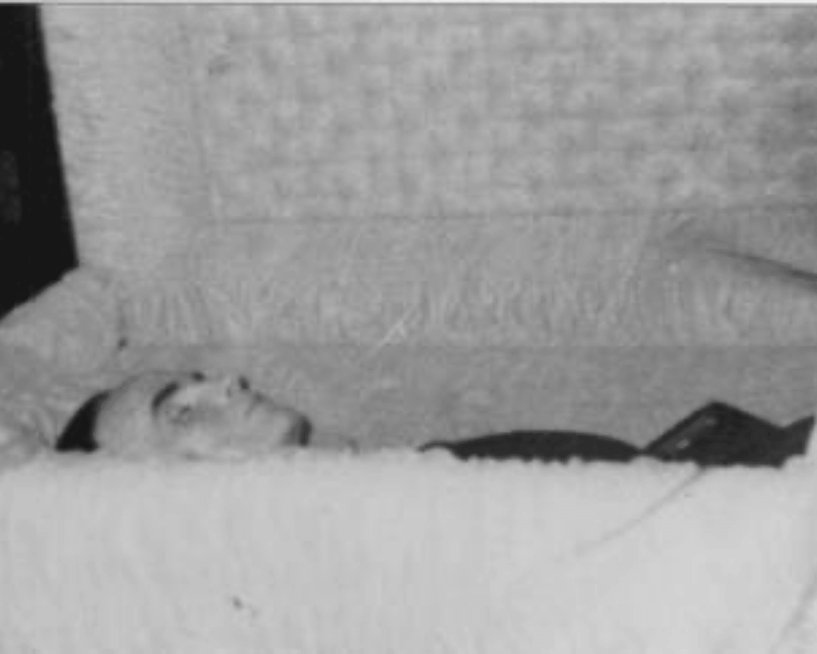 Meda Branham não estava doente e Branham só foi enterrado depois de meses após sua morte.